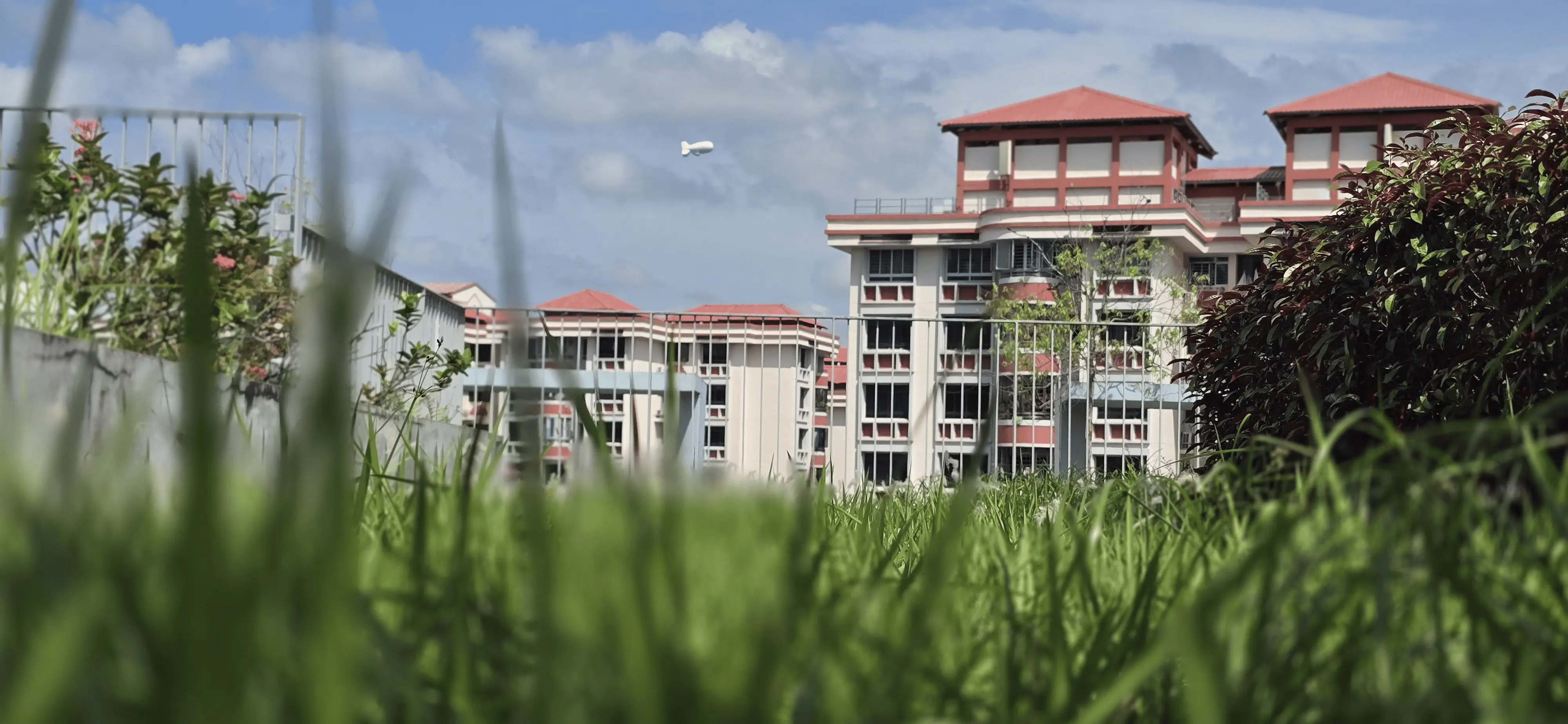A picture of grass and buildings taken from a carpark rooftop garden in Jurong West.