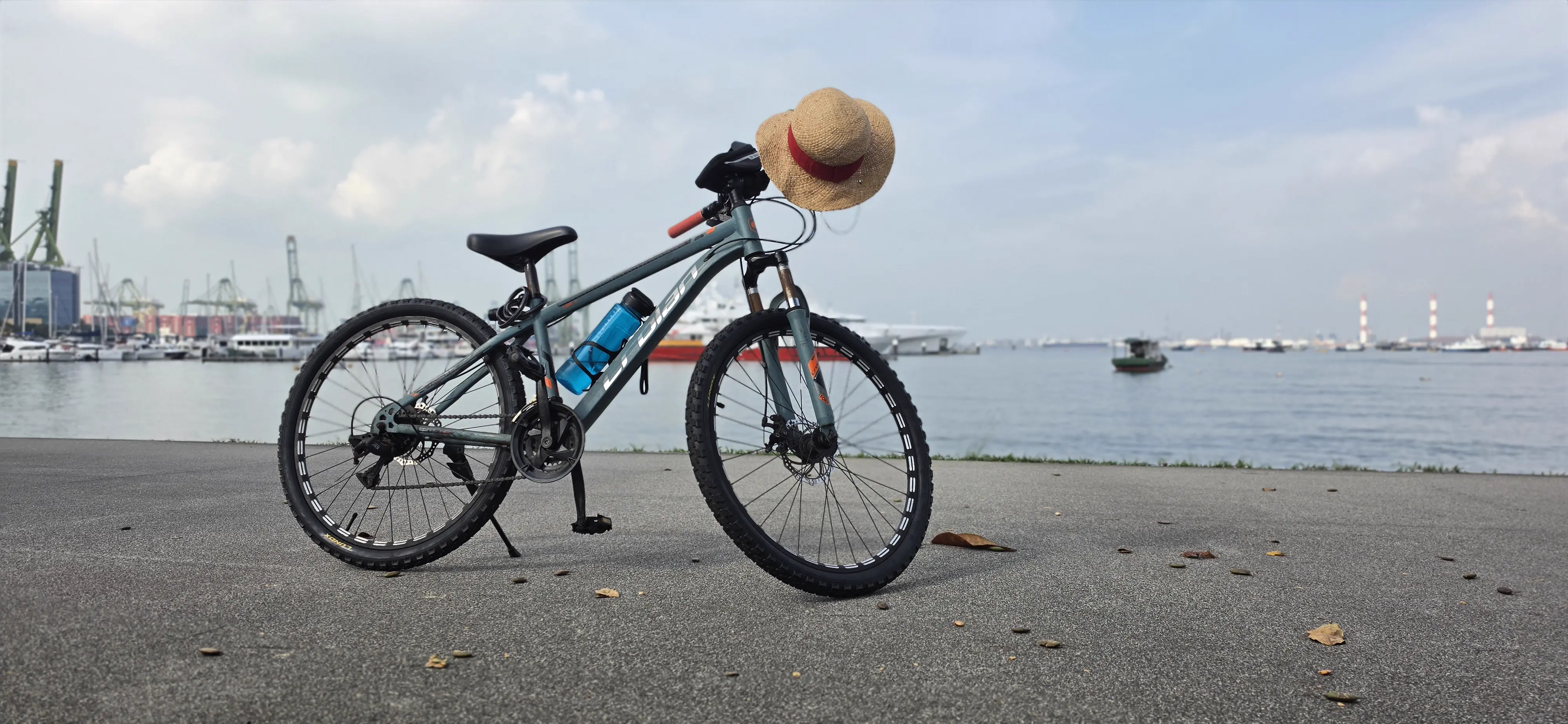 A picture of Shiva's bike farming aura along the stoney shore of West Coast Park.